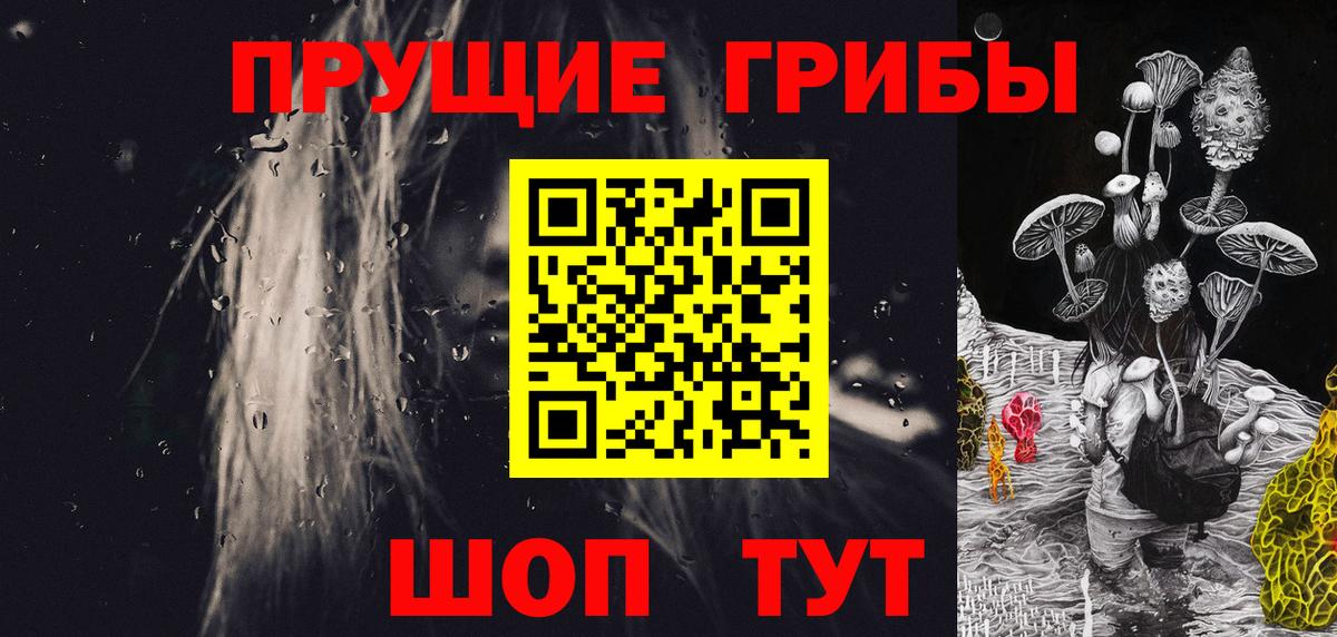 Псилоцибиновые грибы Psilocybine cubensis  Вход с VPN  Ликино-Дулёво  Галлюциногенные грибы Cubensis 
